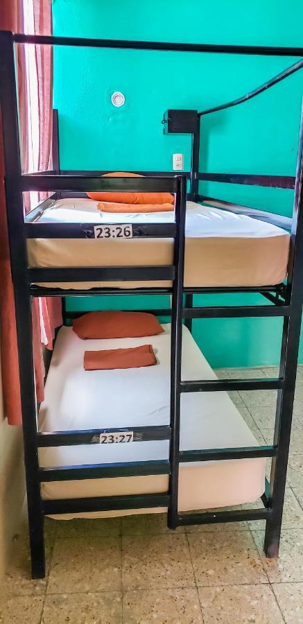 Tikal Backpackers Hostel Флорес Екстер'єр фото